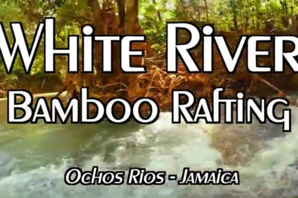 Villa La Rosa With Spectacular View Of Ocho Rios Esterno foto